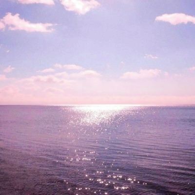 正规的大小单双平台网址