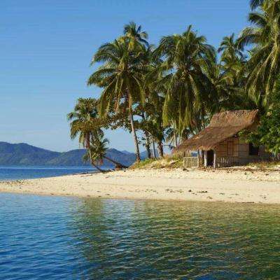 天博tb·体育综合下载手机版